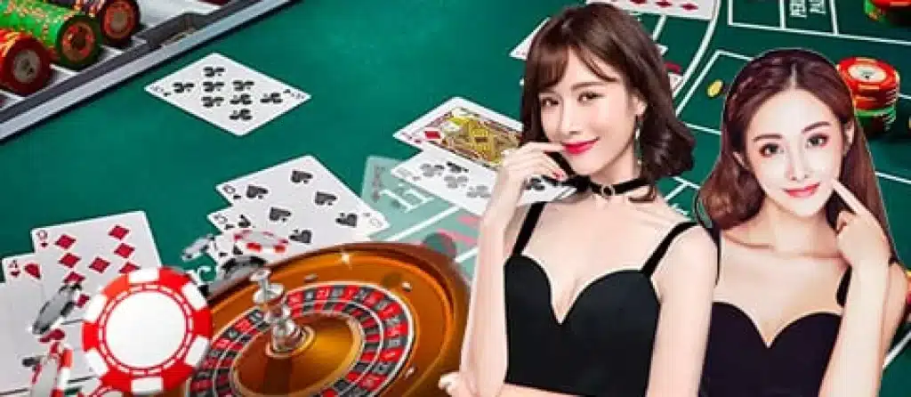 live-casino-k9-club-1024x446